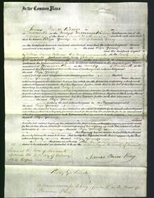 Court of Common Pleas - Eliza Young-Original Ancestry