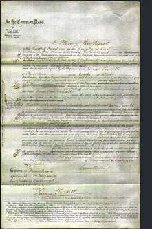 Court of Common Pleas - Sarah Anne Ulieland-Original Ancestry