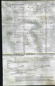 Court of Common Pleas - Frances Mary Shepperson-Original Ancestry