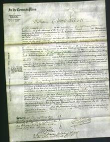 Court of Common Pleas - Rhoda Gibbins-Original Ancestry