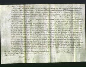 Court of Common Pleas - Vashti Elizabeth Webber Wallis-Original Ancestry