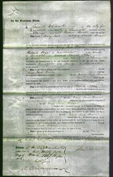 Court of Common Pleas - Mary Jane Brown-Original Ancestry