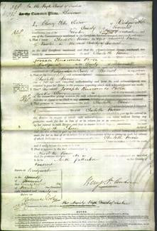 Court of Common Pleas - Charlotte Harris-Original Ancestry