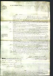 Court of Common Pleas - Ann Bax and Sarah Bax-Original Ancestry