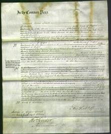 Court of Common Pleas - Emilie Morrey Harriett Skrimshire-Original Ancestry