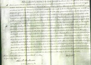 Court of Common Pleas - Elizabeth Stevenson-Original Ancestry