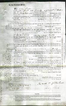 Court of Common Pleas - Elizabeth Skuse, Jane Hillier, Louisa Grant and Sarah Turner-Original Ancestry