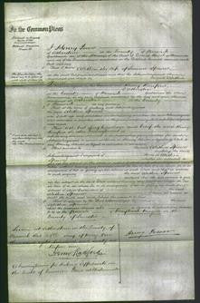 Court of Common Pleas - Alethea Spencer-Original Ancestry