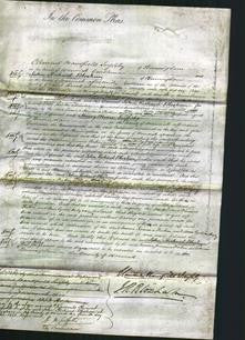 Court of Common Pleas - Emma Jemima Firkin and Ann Lydia Heeley-Original Ancestry