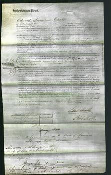 Court of Common Pleas - Sarah Peacock-Original Ancestry