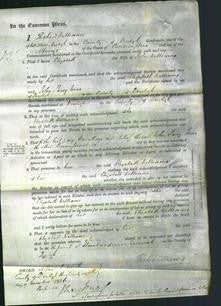 Court of Common Pleas - Elizabeth Williams-Original Ancestry