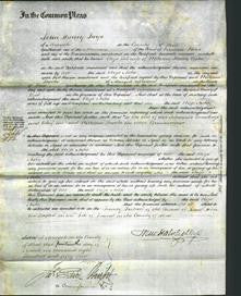 Court of Common Pleas - Eliza Aske-Original Ancestry