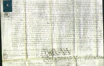 Court of Common Pleas - Catharina Ronald, Maria Wood Bathgate-Original Ancestry