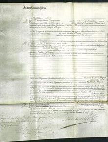 Court of Common Pleas - Esther Boyes-Original Ancestry