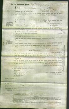 Court of Common Pleas - Elizabeth Collins-Original Ancestry