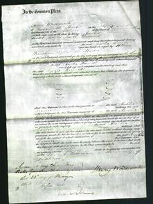 Court of Common Pleas - Amelia Barwell-Original Ancestry
