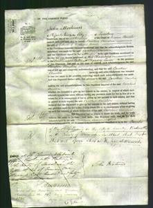 Court of Common Pleas - Caroline Amelia Nash-Original Ancestry