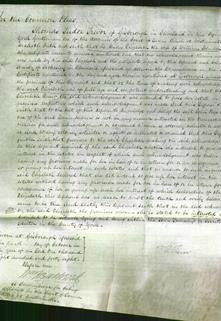 Court of Common Pleas - Elizabeth Johnson-Original Ancestry