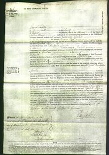 Court of Common Pleas - Elizabeth Page-Original Ancestry