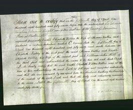 Deed by Married Women - Vashti Elizabeth Webber Wallis-Original Ancestry