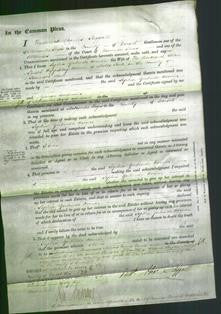 Court of Common Pleas - Sophia Gertrude Horner