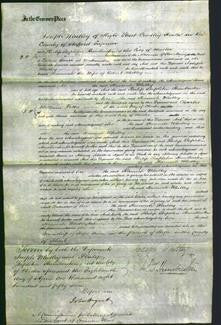 Court of Common Pleas - Hannah Whitley-Original Ancestry