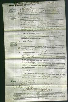 Court of Common Pleas - Sarah King-Original Ancestry