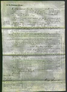 Court of Common Pleas - Mary Ann Savery and Eliza Savery-Original Ancestry