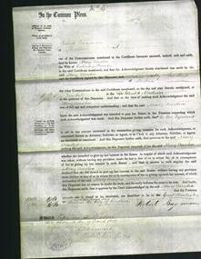 Court of Common Pleas - Mary Amelia Bewick-Original Ancestry