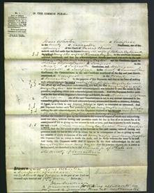 Court of Common Pleas - Mary Naylor and Mary Naylor-Original Ancestry