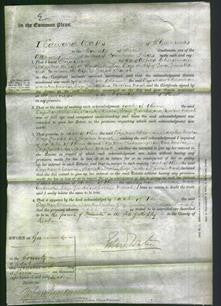 Court of Common Pleas - Eliza Mary Cheeseman, Mary Ann Donohue, Eliza Grinsted and Caroline Marsh-Original Ancestry