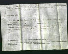 Deed by Married Women - Ann Tribe-Original Ancestry