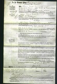 Court of Common Pleas - Emily Knight-Original Ancestry