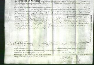 Deed by Married Women - Ann Potter, Betsey Potter and Emma Woods-Original Ancestry