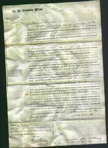 Court of Common Pleas - Sarah Pool-Original Ancestry