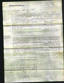 Court of Common Pleas - Elizabeth Osgerby-Original Ancestry