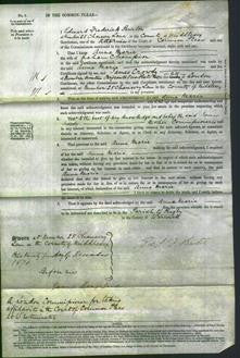 Court of Common Pleas - Anna Maria Champion-Original Ancestry