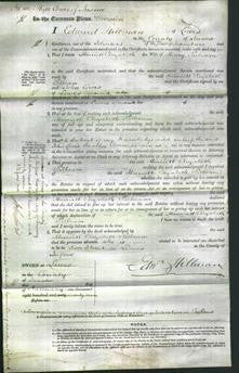 Court of Common Pleas - Harriett Elizabeth Pilbeam-Original Ancestry