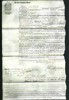 Court of Common Pleas - Hannah Cole-Original Ancestry