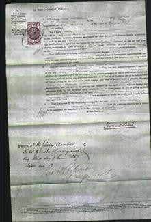 Court of Common Pleas - Emily Ann Bateman-Original Ancestry