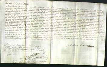 Court of Common Pleas - Elizabeth Drinkwater-Original Ancestry