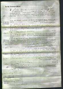 Court of Common Pleas - Emma Jane Andrews-Original Ancestry