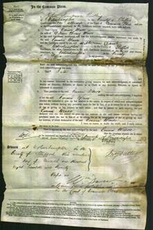 Court of Common Pleas - Emma Weaver-Original Ancestry