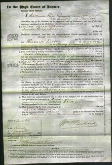 Court of Common Pleas - Sarah Stephens-Original Ancestry