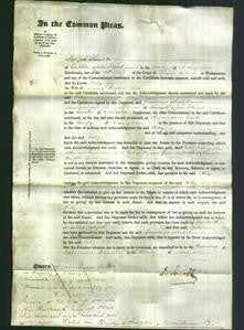 Court of Common Pleas - Betsy Lees-Original Ancestry