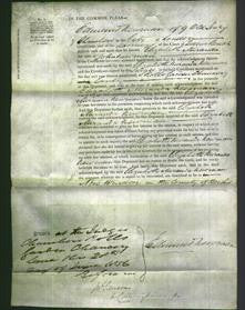 Court of Common Pleas - Elizabeth Miranda Newman-Original Ancestry