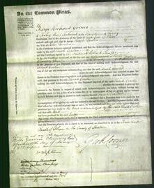 Court of Common Pleas - Sarah Cowlin-Original Ancestry