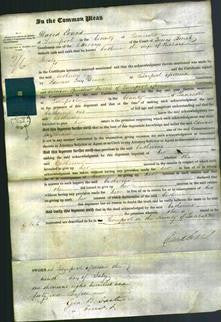 Court of Common Pleas - Catherine Helsby-Original Ancestry