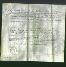 Appointment of Special Commissioners - Austin Baldwin, Austin Parker Baldwin, Edward Littlefield and Burton Mansfield-Original Ancestry