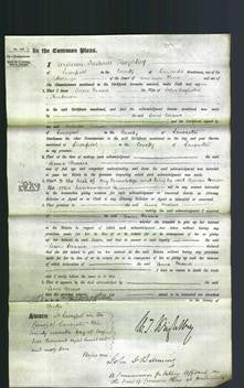 Court of Common Pleas - Anne Maria Henderson-Original Ancestry